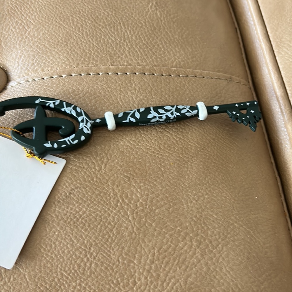 Disney’s exclusive, key and black and white with a castle - Picture 6 of 6